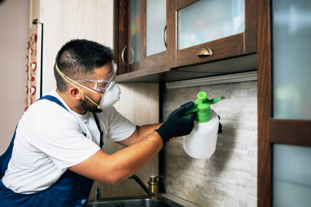 Best Residential Pest Control  in Lake Pocotopaug, CT