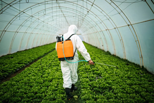 Best Pest Inspection Near Me  in Lake Pocotopaug, CT